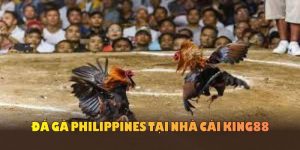 ảnh đại diện đá gà philippines