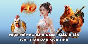 ảnh đại diện trực tiếp đá gà